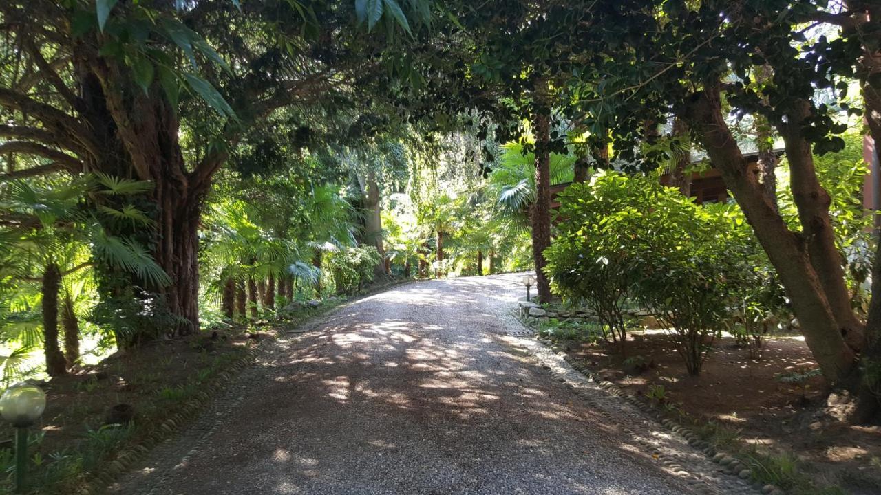 Villa Magnolia Lago Maggiore Besozzo Exterior foto