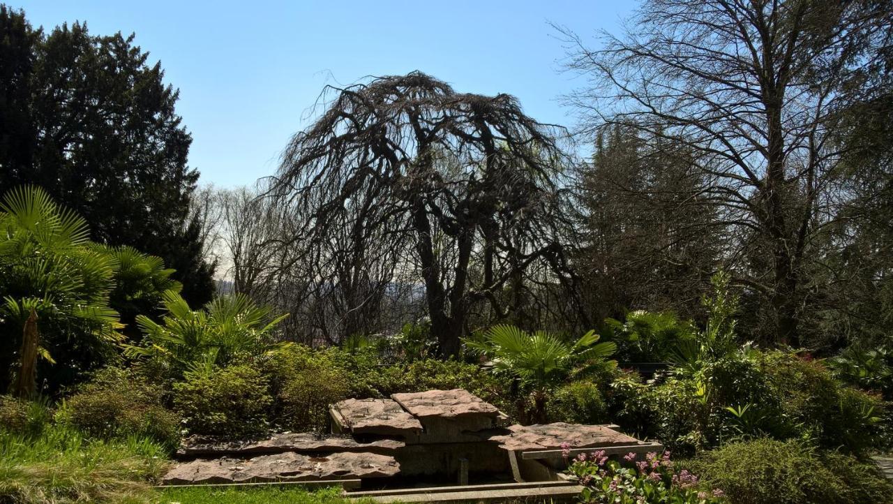 Villa Magnolia Lago Maggiore Besozzo Exterior foto